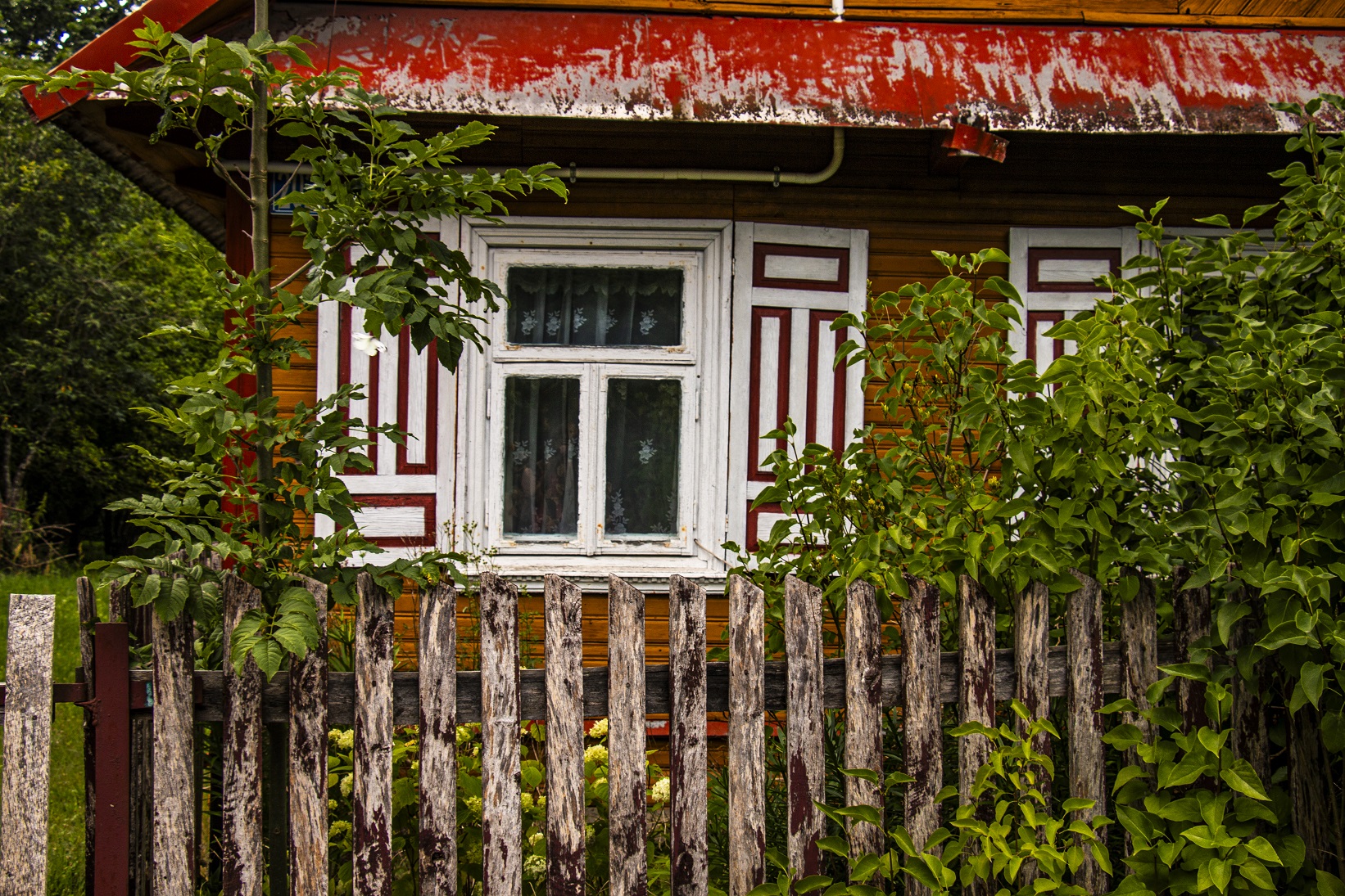 kolekcaj zdjęć - architektura drewniana